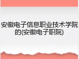 安徽电子信息职业技术学院的(安徽电子职院)