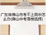 广东省佛山市考不上高中怎么办(佛山中考落榜选择)