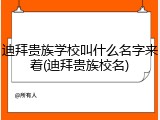 迪拜贵族学校叫什么名字来着(迪拜贵族校名)