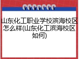 山东化工职业学校滨海校区怎么样(山东化工滨海校区如何)
