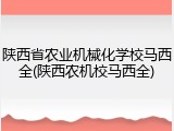 陕西省农业机械化学校马西全(陕西农机校马西全)