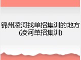 锦州凌河找单招集训的地方(凌河单招集训)