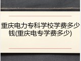 重庆电力专科学校学费多少钱(重庆电专学费多少)