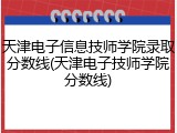 天津电子信息技师学院录取分数线(天津电子技师学院分数线)