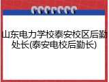 山东电力学校泰安校区后勤处长(泰安电校后勤长)
