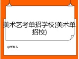 美术艺考单招学校(美术单招校)
