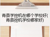 青县学挖机在哪个学校好(青县挖机学校哪家好)