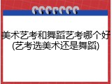 美术艺考和舞蹈艺考哪个好(艺考选美术还是舞蹈)