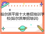 哈尔滨平房十大单招培训学校(哈尔滨单招培训)