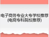 电子商务专业大专学校推荐(电商专科院校推荐)