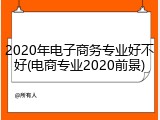 2020年电子商务专业好不好(电商专业2020前景)