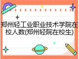 郑州轻工业职业技术学院在校人数(郑州轻院在校生)