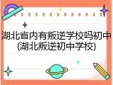 湖北省内有叛逆学校吗初中(湖北叛逆初中学校)