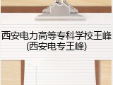 西安电力高等专科学校王峰(西安电专王峰)