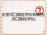 东营河口数控学校有哪些(河口数控学校)