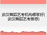 武汉舞蹈艺考机构哪家好(武汉舞蹈艺考推荐)
