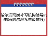 哈尔滨南岗补习机构辅导九年级(哈尔滨九年级辅导)