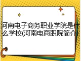 河南电子商务职业学院是什么学校(河南电商职院简介)