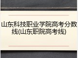 山东科技职业学院高考分数线(山东职院高考线)