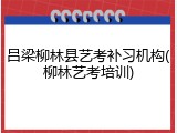 吕梁柳林县艺考补习机构(柳林艺考培训)