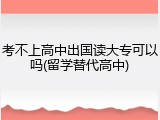 考不上高中出国读大专可以吗(留学替代高中)