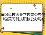 黄冈科技职业学校是公办的吗(黄冈科技职校公办吗)