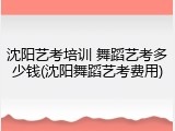 沈阳艺考培训 舞蹈艺考多少钱(沈阳舞蹈艺考费用)