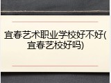 宜春艺术职业学校好不好(宜春艺校好吗)