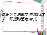 沈阳艺考培训学校摄影(沈阳摄影艺考培训)