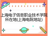 上海电子信息职业技术学院所在地(上海电院地址)