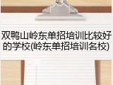 双鸭山岭东单招培训比较好的学校(岭东单招培训名校)