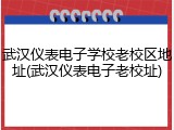 武汉仪表电子学校老校区地址(武汉仪表电子老校址)
