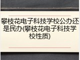 攀枝花电子科技学校公办还是民办(攀枝花电子科技学校性质)