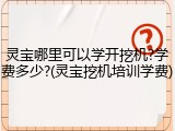 灵宝哪里可以学开挖机?学费多少?(灵宝挖机培训学费)
