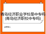 青岛经济职业学校是中专吗(青岛经济职校中专吗)