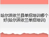 哈尔滨依兰县单招培训哪个好(哈尔滨依兰单招培训)
