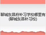 聊城东昌府补习学校哪里有(聊城东昌补习校)