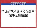 楚雄的艺术类学校在哪里(楚雄艺校位置)