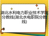 湖北水利电力职业技术学院分数线(湖北水电职院分数线)