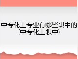 中专化工专业有哪些职中的(中专化工职中)