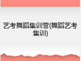 艺考舞蹈集训营(舞蹈艺考集训)