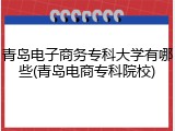 青岛电子商务专科大学有哪些(青岛电商专科院校)