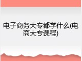 电子商务大专都学什么(电商大专课程)