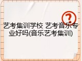 艺考集训学校 艺考音乐专业好吗(音乐艺考集训)
