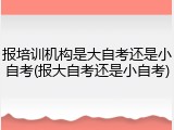 报培训机构是大自考还是小自考(报大自考还是小自考)