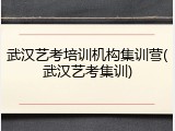 武汉艺考培训机构集训营(武汉艺考集训)