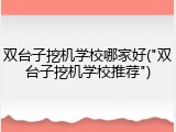 双台子挖机学校哪家好("双台子挖机学校推荐")