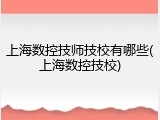 上海数控技师技校有哪些(上海数控技校)