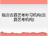 临汾古县艺考补习机构(古县艺考机构)