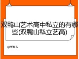 双鸭山艺术高中私立的有哪些(双鸭山私立艺高)